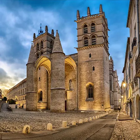 Boheme Au Coeur De Montpellier! Μονπελιέ